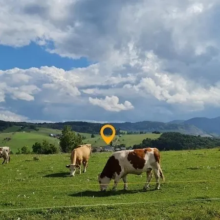 Style Nizke Tatry Lejlighed Dolna Lehota